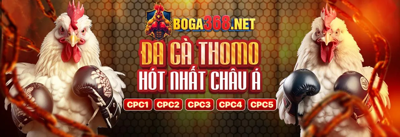 Đá gà kịch tính tại DV88 Trang Chủ